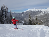Alibekh