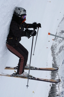 vredilische